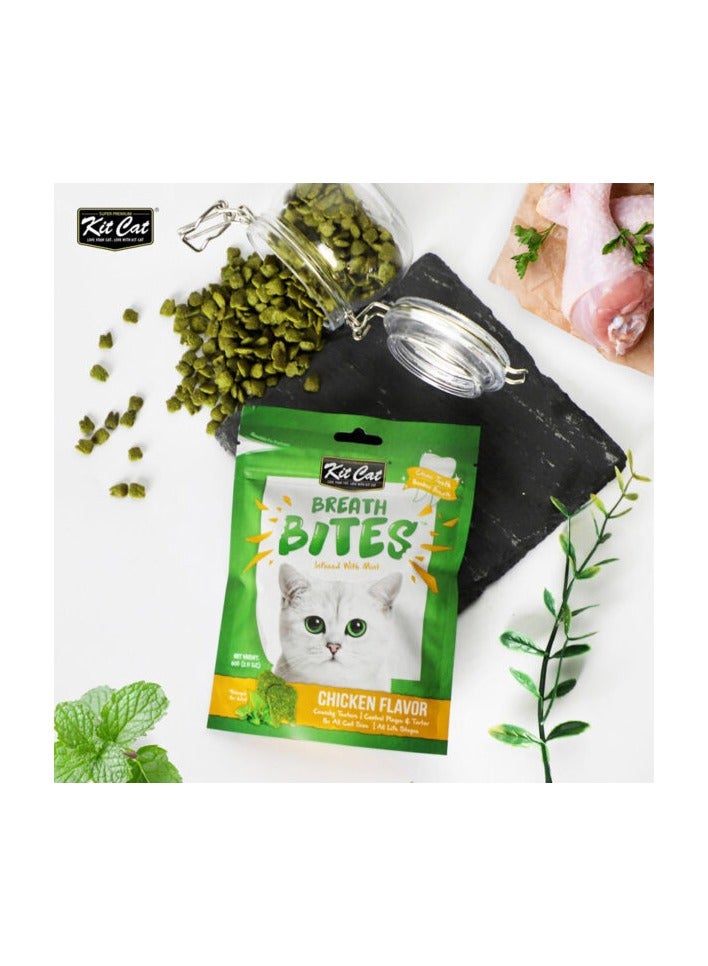 Kit Cat لقيمات التنفس بنكهة الدجاج 60غ - Image 2