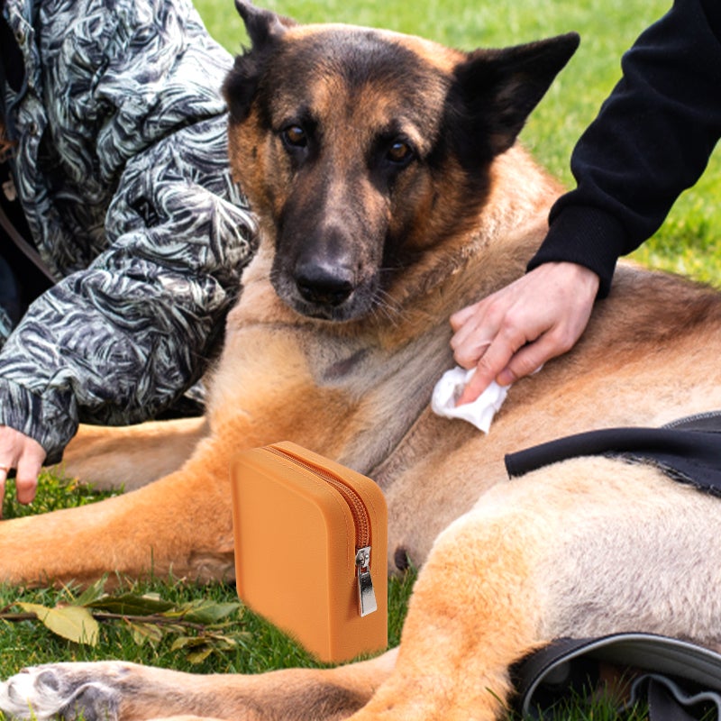 Silicone Dog Treat Bag Portable Dog Training Treat Bag Outdoor Dog Snack Bag Zipper Training Bag - Image 5