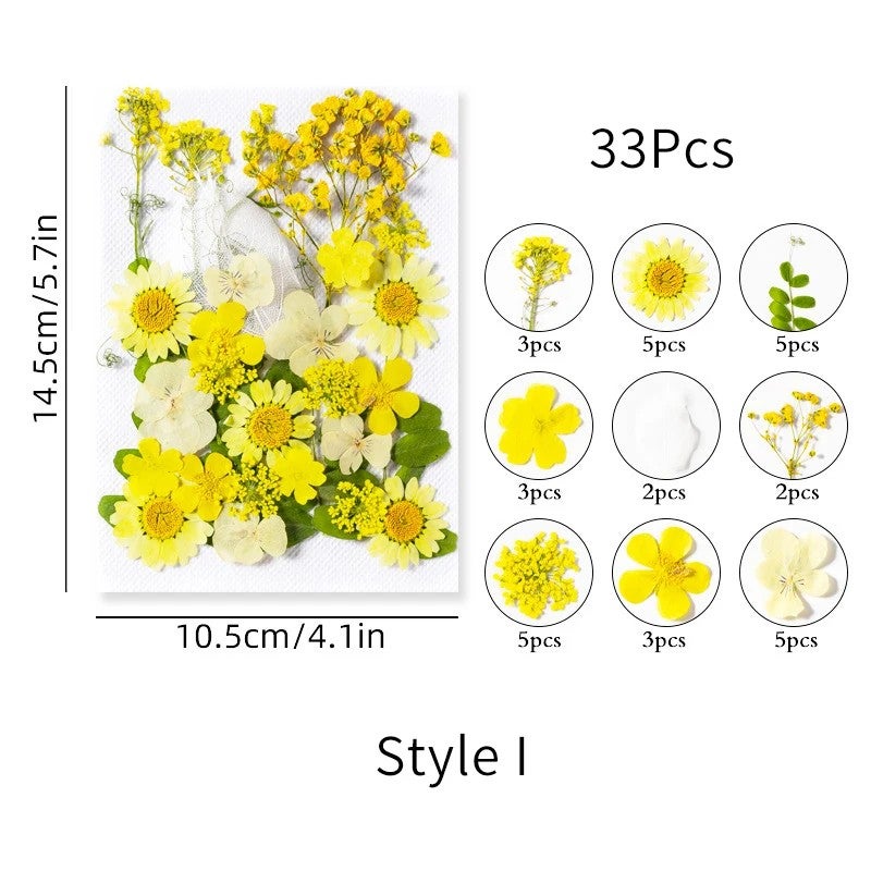 Bluejw ZS007 Small Colored Natural Pressed Dried Flowers & Leaves for Jewelry Making, Nail Art, Handmade Crafts – Real Dried Plants for DIY Decorations - Image 1