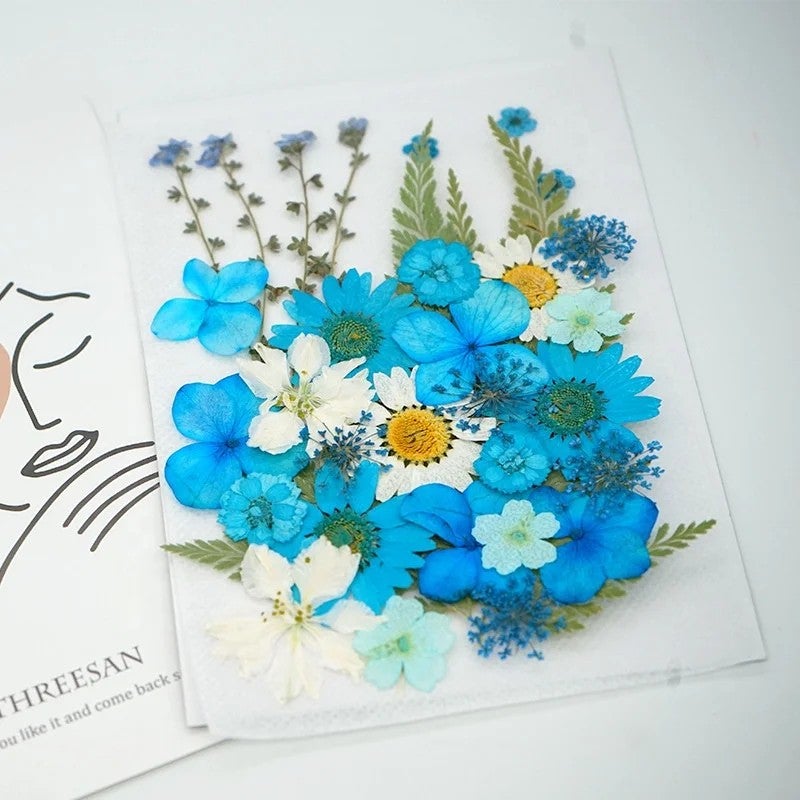 Bluejw ZS007 Small Colored Natural Pressed Dried Flowers & Leaves for Jewelry Making, Nail Art, Handmade Crafts – Real Dried Plants for DIY Decorations - Image 5