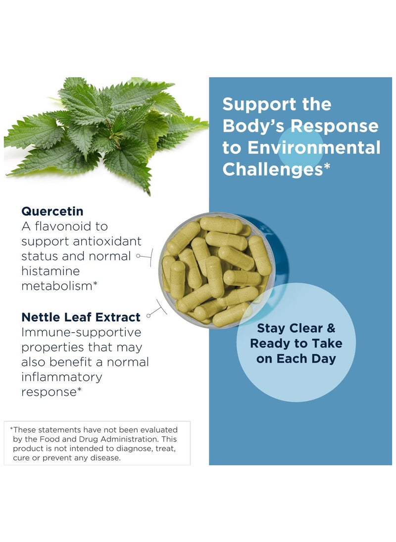 designs for health - Quercetin + Nettles - Immune Support Supplement - Nettle Leaf + Quercetin Supplement with Flavonoids to Support a Healthy Inflammatory Response (90 Vegan Capsules) - Image 1