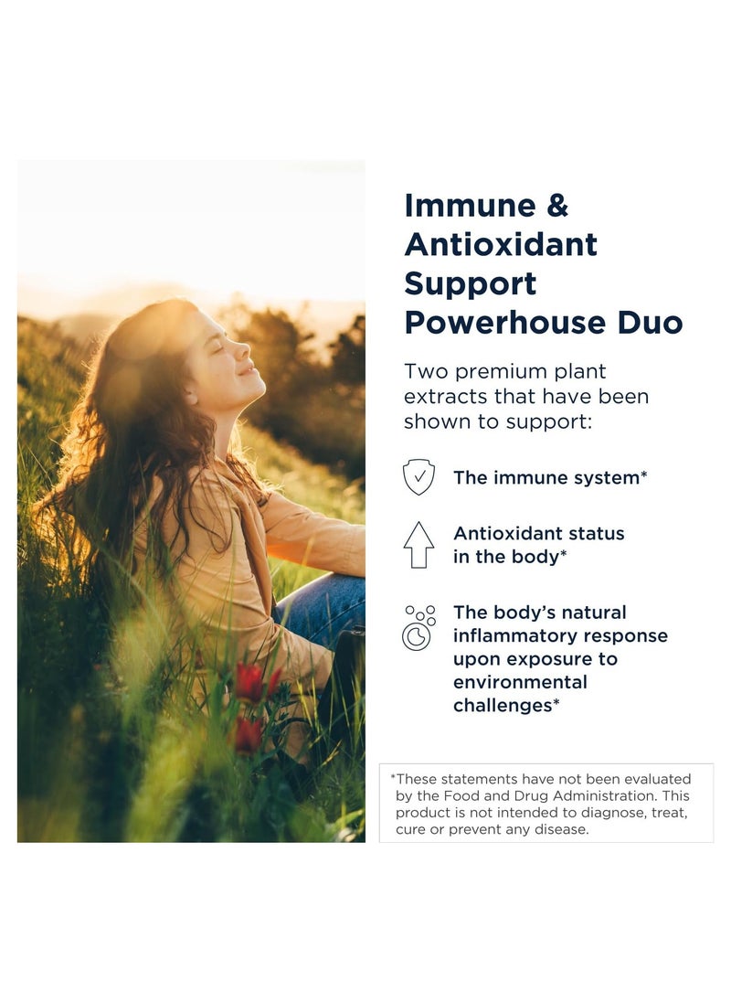 designs for health - Quercetin + Nettles - Immune Support Supplement - Nettle Leaf + Quercetin Supplement with Flavonoids to Support a Healthy Inflammatory Response (90 Vegan Capsules) - Image 1