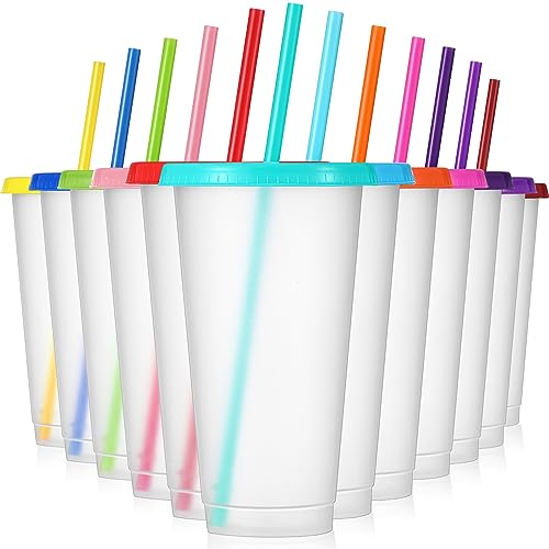 Mifoci 12 Pcs Plastic Tumbler with Lids and Straws Reusable Plastic Tumblers Bulk Mug Tumbler with Straw and Lid Tumbler Ice Cold Drinking Cup for Water Smoothie Birthday Party Multi Color24oz - Image 1