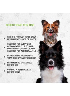 Secrets of the Tribe Wolf's Digestion | Natural Herbal Dietary Supplement for Dogs | Healthy Digestion Support in Dogs | Alcohol-Free Extract, Fennel, Chamomile, Dandelion Root, Calendula, Peppermint 2 oz  - Image 2