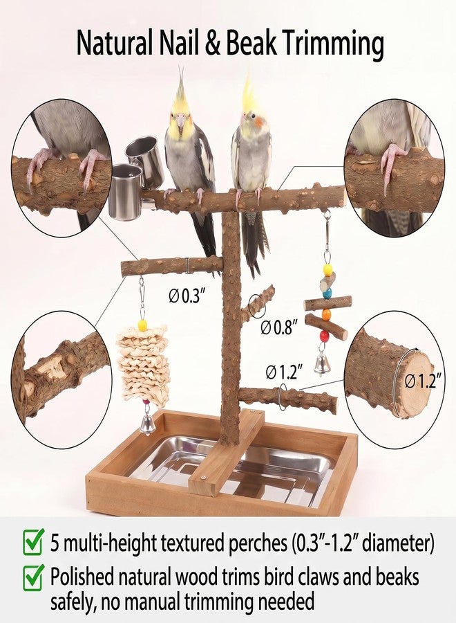 حامل خشبي طبيعي للطيور الصغيرة والمتوسطة الحجم - Image 3
