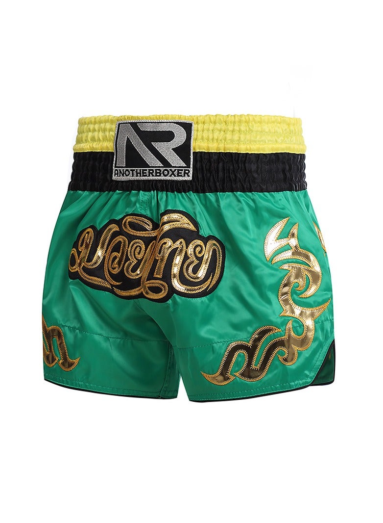 Generic Muay Thai Classic Shorts - Image 1