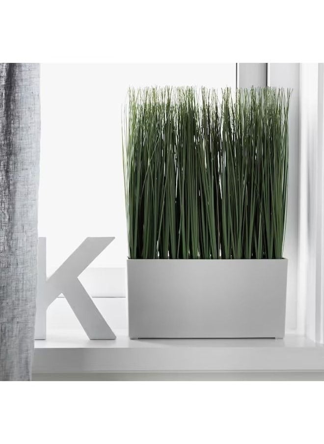 فيجكا نبات صناعي مزروع في أصيص، عشب داخلي/خارجي FEJKA - Image 2