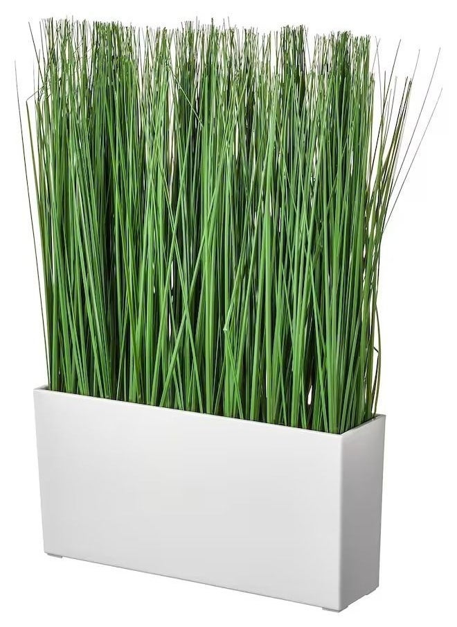 فيجكا نبات صناعي مزروع في أصيص، عشب داخلي/خارجي FEJKA - Image 1