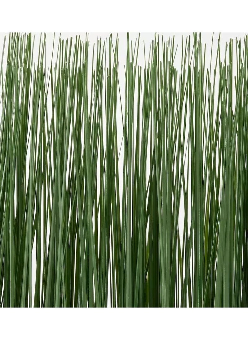 فيجكا نبات صناعي مزروع في أصيص، عشب داخلي/خارجي FEJKA - Image 3