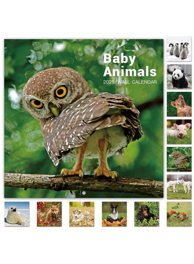 Poluma 2025 Calendar - 12 Month Baby Animals Wall Calendar 2025 From January 2025 - December 2025, 12 X 12 Inches, Thick & Sturdy Paper, 12" X 24" (Open), Perfect Calendar For Organizing & Planning  - Image 1