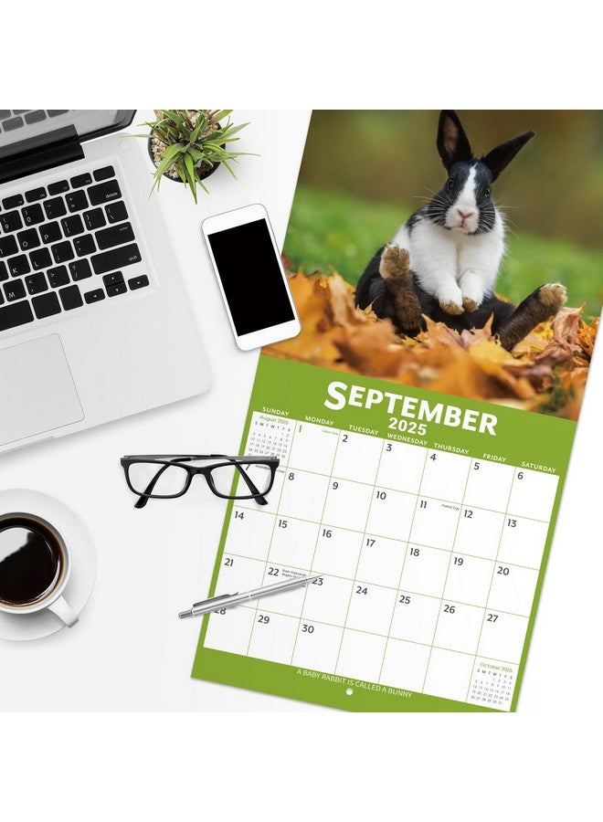 Poluma 2025 Calendar - 12 Month Baby Animals Wall Calendar 2025 From January 2025 - December 2025, 12 X 12 Inches, Thick & Sturdy Paper, 12" X 24" (Open), Perfect Calendar For Organizing & Planning  - Image 4