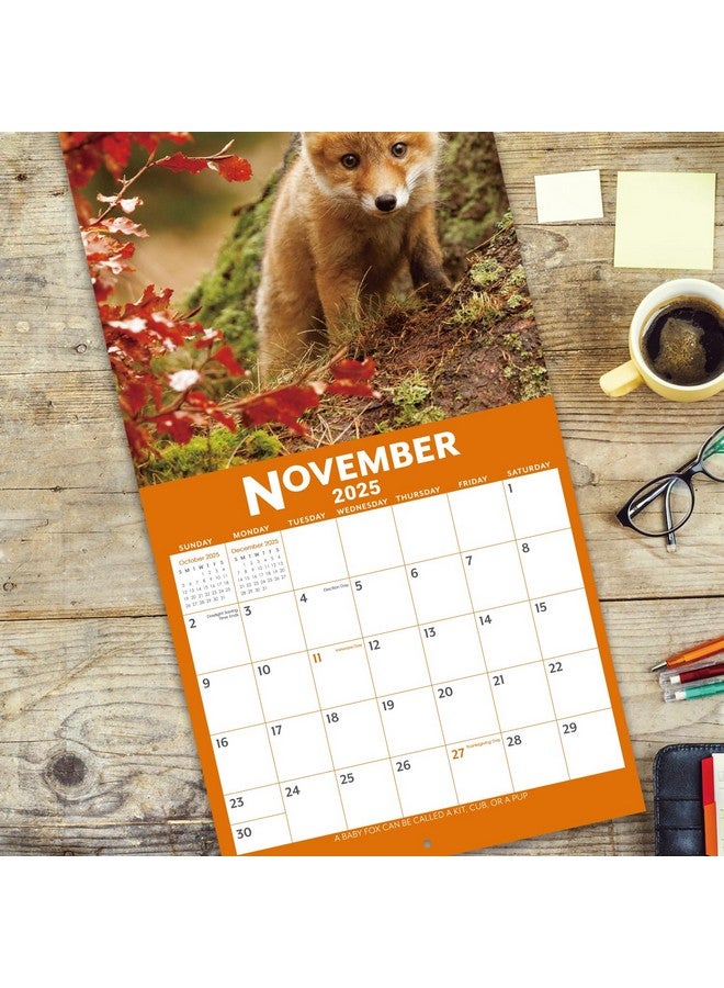Poluma 2025 Calendar - 12 Month Baby Animals Wall Calendar 2025 From January 2025 - December 2025, 12 X 12 Inches, Thick & Sturdy Paper, 12" X 24" (Open), Perfect Calendar For Organizing & Planning  - Image 3