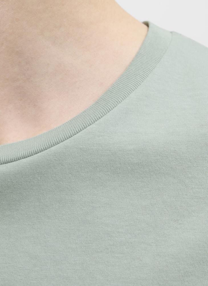 JJ Rebel by Jack & Jones Jrebgrant  Ss Crew Neck T-Shirt  - Image 4