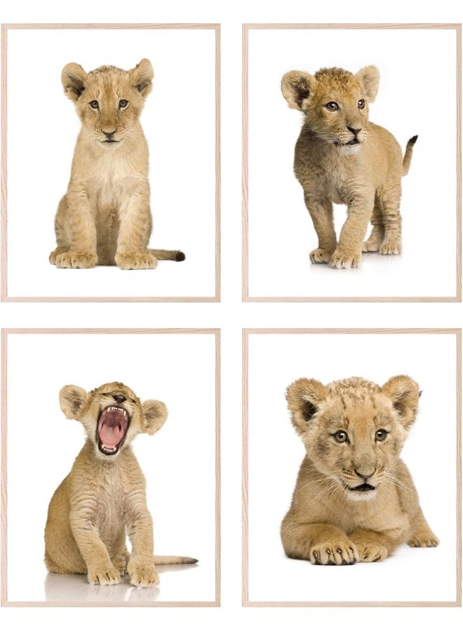 Insire Baby Lion Wall Art Animal Wall Art Cub Lion Poster - Set of 4 (8x10) - Image 1
