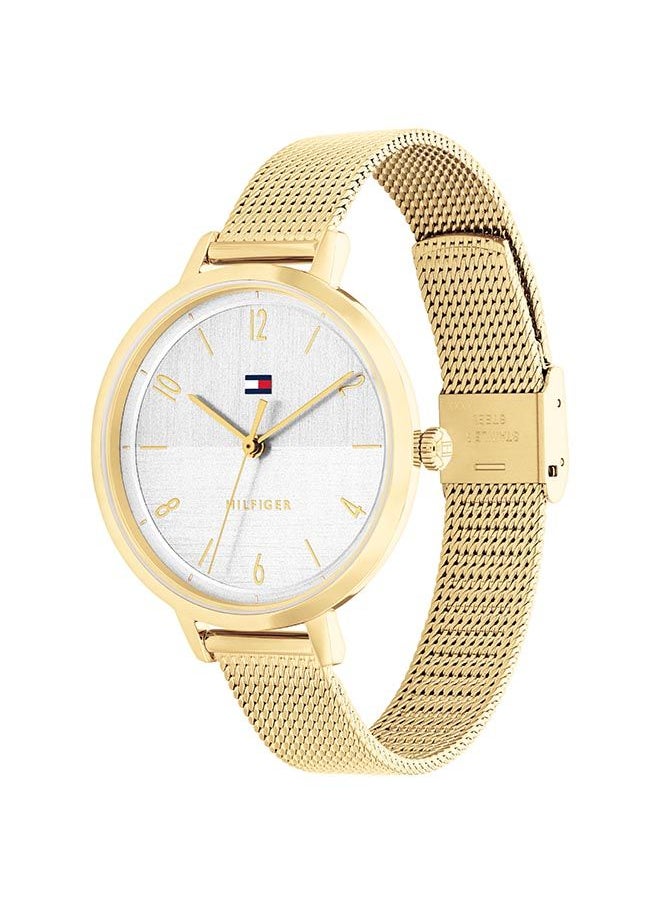 TOMMY HILFIGER - Women Analog Round Shape Stainless Steel Wrist Watch 38 mm - Image 1