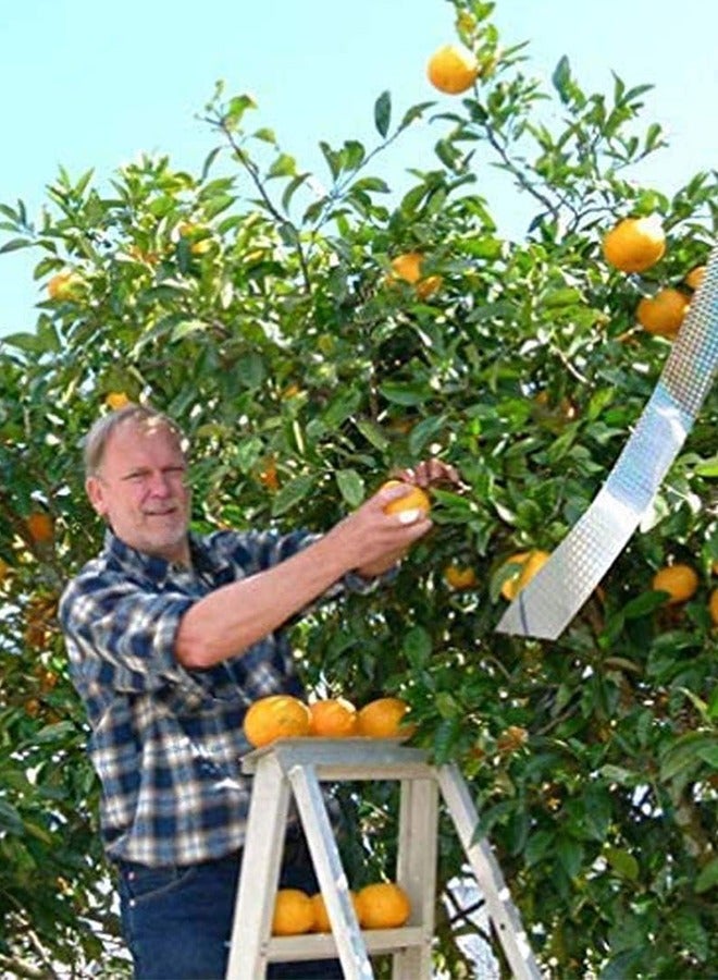 Bukela Bird Repellent Scare Tape, Keep Away Pigeons, Ducks, Crows and More, Deterrent Works, 80m x 2.4cm, 4 PCS - Image 5