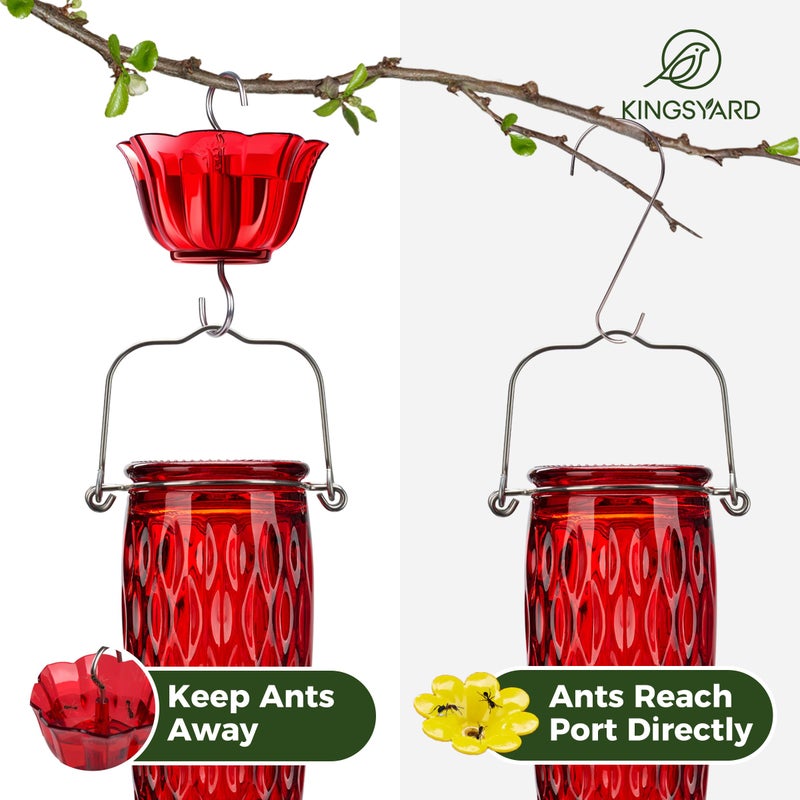 Kingsyard Hummingbird Feeders for Outdoors Hanging, 24 Ounce, Glass Hummingbird Feeder with Ant Moat & 6 Bee Guard Feeding Ports, Leak-Proof, Red - Image 4