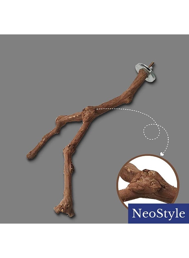 Neostyle عمود منصة الطيور الطبيعي من نيوستايل، عصا العنب البري، ألعاب ملحقات القفص للببغاوات الصغيرة، الكوكاتيل، طيور الحب، الباركيت، منصات لقفص الطيور - Image 5