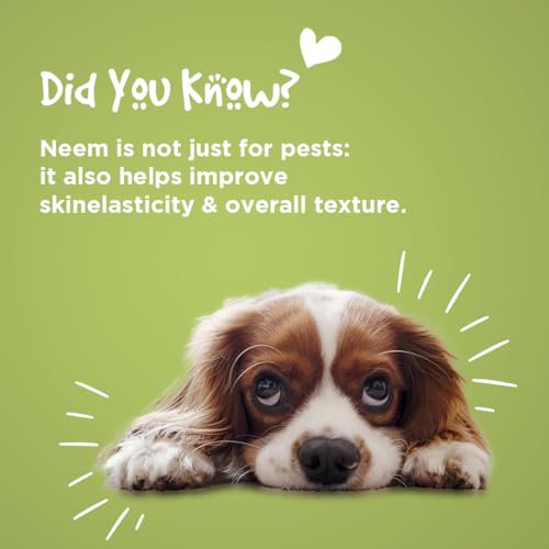 Pil Neem Plus Herbal Pet Shampoo 1000ml | Puppy Safe | Anti-Fungal, Anti-Ticks and Fleas, Antibacterial, Antiseptic & pH Balanced Dog Shampoo | Regular use Coat Cleansing Shampoo for Pets - Image 5