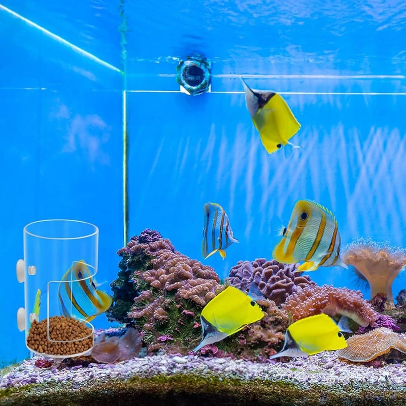 ordinarYone Fish Tanks Feeders Rings Slow Sinking Fish Food Feeders Nonslip Aquariums Feeding Rings for Tanks Stops Floating Waste - Image 2