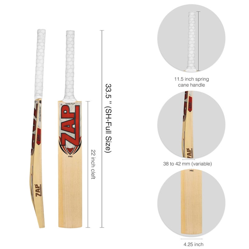 ZAP مضرب كريكيت جلد كشمير برو (الحجم - H) | مضرب احترافي لكرة الجلد | يشمل شريط ألياف وغطاء | مقبض من قصب سنغافوري | قبضة حلقة | تصميم يمتص الصدمات - Image 2