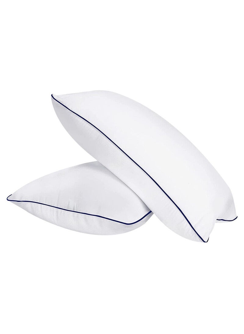 Blueberry 2 Piece Pack Comfortable soft Golden Single Piping Design Cotton Pillow 50x70cm Made in Uae - Image 1