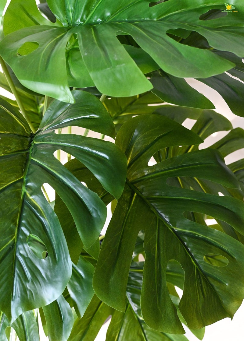 Blooming Floret Artificial Monstera Plant With Basic Black Pot | 18 Green Leaves | Big Ornamental Plant for Interior and Office Decor | 78.7 cm Tall Natural Looking - Image 2