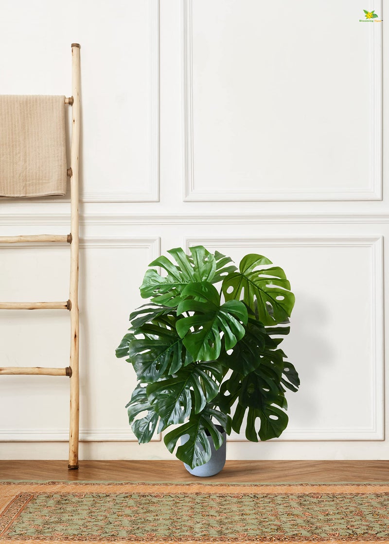 Blooming Floret Artificial Monstera Plant With Basic Black Pot | 18 Green Leaves | Big Ornamental Plant for Interior and Office Decor | 78.7 cm Tall Natural Looking - Image 4