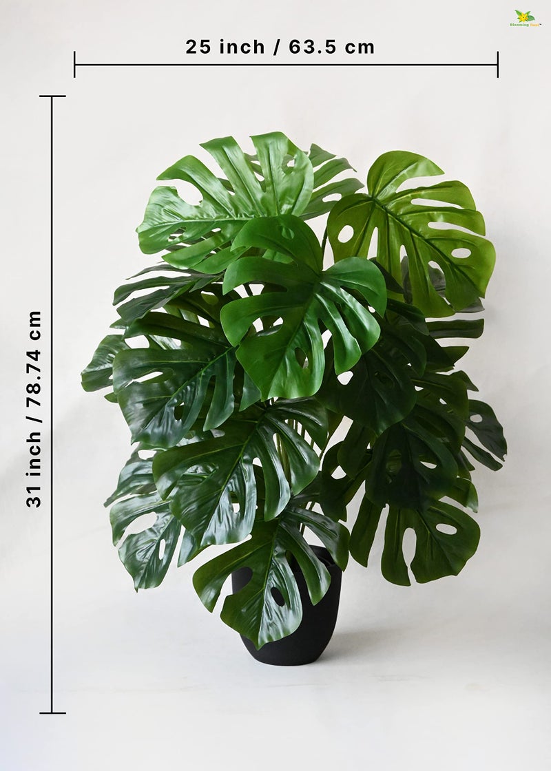 Blooming Floret Artificial Monstera Plant With Basic Black Pot | 18 Green Leaves | Big Ornamental Plant for Interior and Office Decor | 78.7 cm Tall Natural Looking - Image 3