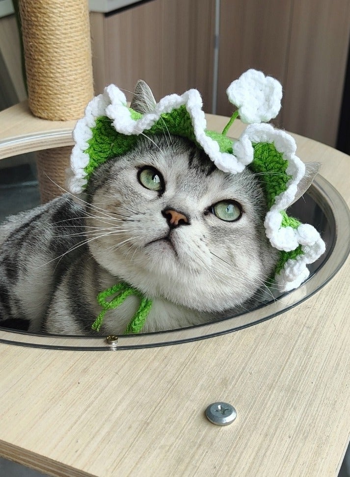 A.M Handmade Dog & Cat Elastic Woven Cap - Pet Party Photo Shoot Props & Accessories - Image 1