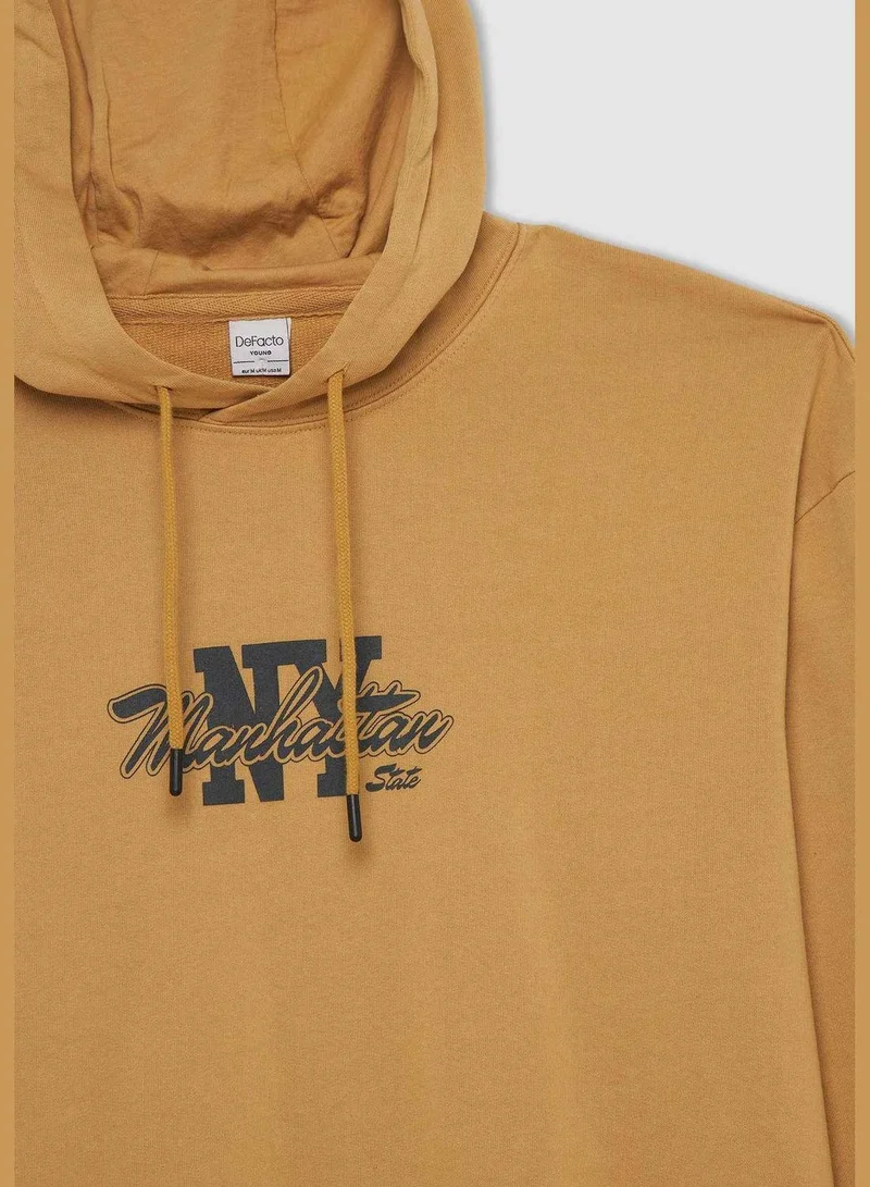 DeFacto Man Boxy Fit Hooded Long Sleeve Knitted Sweatshirt