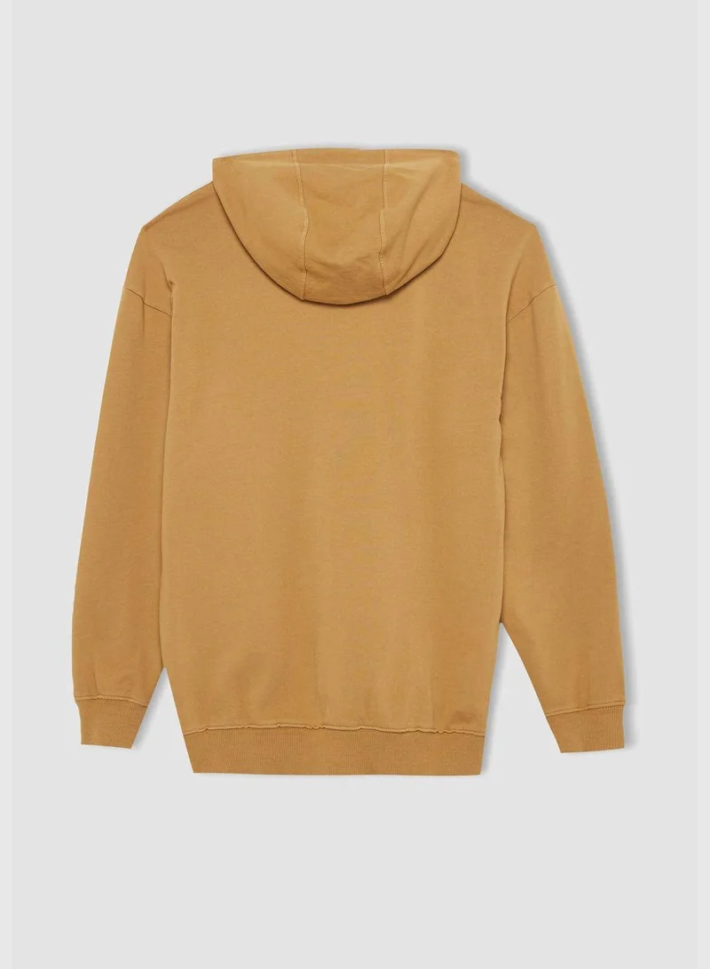 DeFacto Man Boxy Fit Hooded Long Sleeve Knitted Sweatshirt