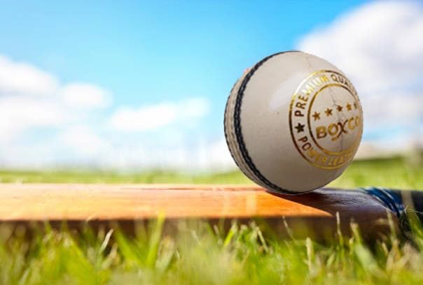 BOXCO Hand-Stitched 4 Piece Leather Cricket Ball for Professional Matches, T20, ODI & Test Practice – Premium Alum Tanned Leather, Senior Size – Pack of 4 (Natural) - Image 5