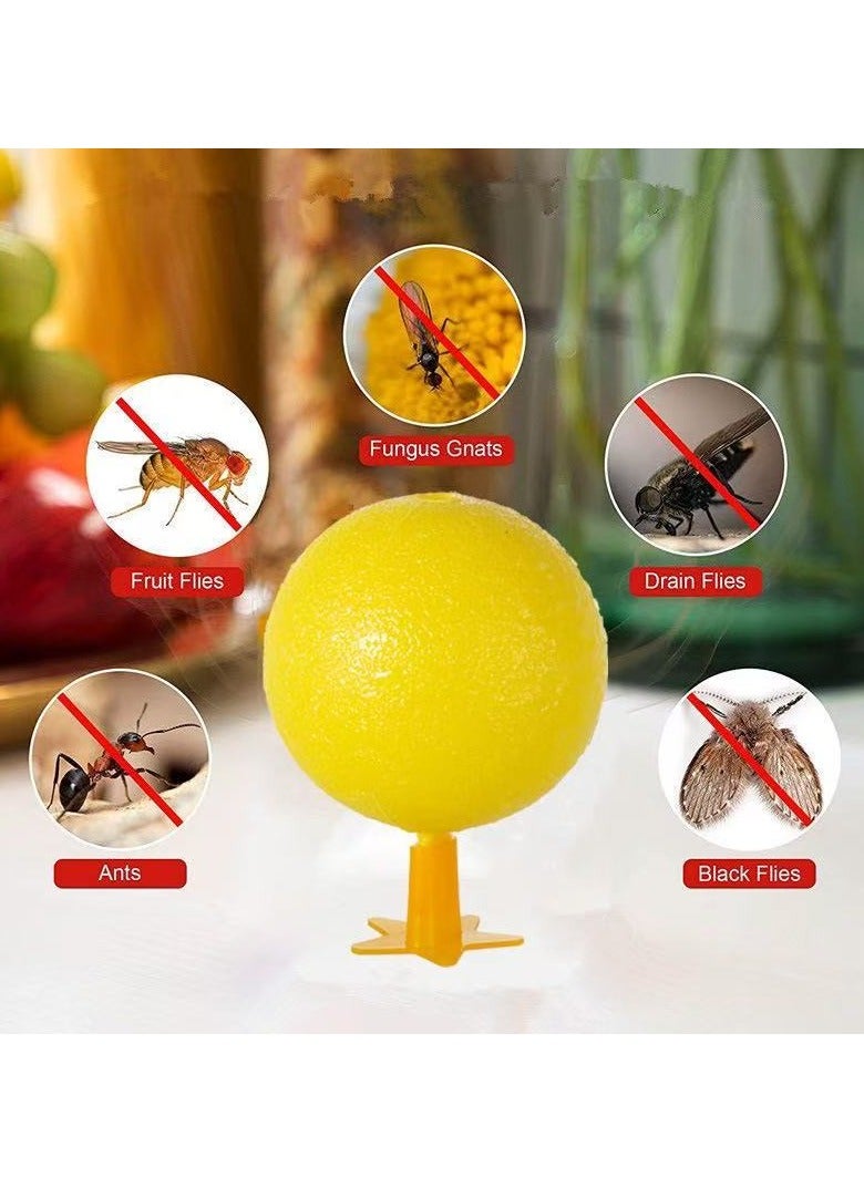 Generic 2 Pack Fruit Fly Traps, Sticky Fruit Fly Trap Balls, Flying Insect Trap, Luminous Fly Trap Balls for Flower Pots, Balconies, Courtyards, Orchards, Kitchens  - Image 3