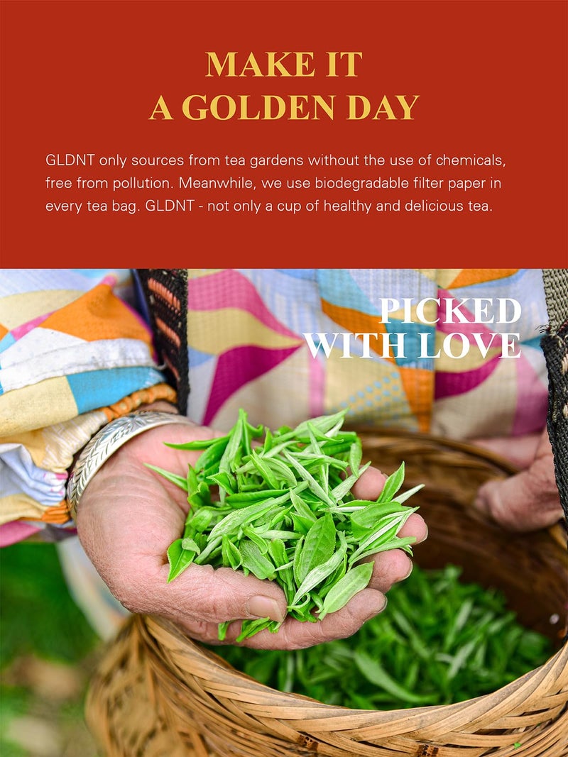 GLDNT Organic Pu-erh Tea Bags, Fermented Yunnan Dark Tea, Bold & Mellow Flavor, Caffeinated, 100 Count - Image 3