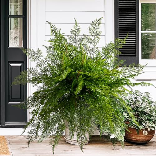 Bailikang 4PCS Lifelike Fake Fern Plants UV Resistant Artificial Boston Ferns for Outdoor Indoor Large Fake Greenery Plants No Wither for Front Porch Garden Window Home Decoration - Image 1