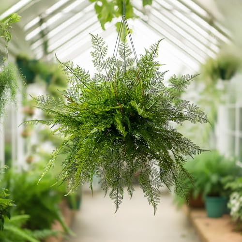 Bailikang 4PCS Lifelike Fake Fern Plants UV Resistant Artificial Boston Ferns for Outdoor Indoor Large Fake Greenery Plants No Wither for Front Porch Garden Window Home Decoration - Image 2