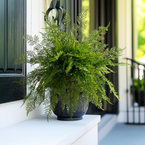 Bailikang 4PCS Lifelike Fake Fern Plants UV Resistant Artificial Boston Ferns for Outdoor Indoor Large Fake Greenery Plants No Wither for Front Porch Garden Window Home Decoration - Image 4