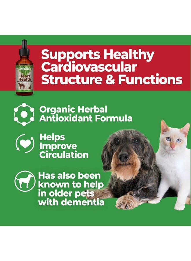 Animal Essentials Heart Health for Dogs & Cats - Cardiovascular Support Supplement, Healthy Heart, Organic Hawthorn Berry, Herbal Tincture - 2 Fl Oz - Image 5