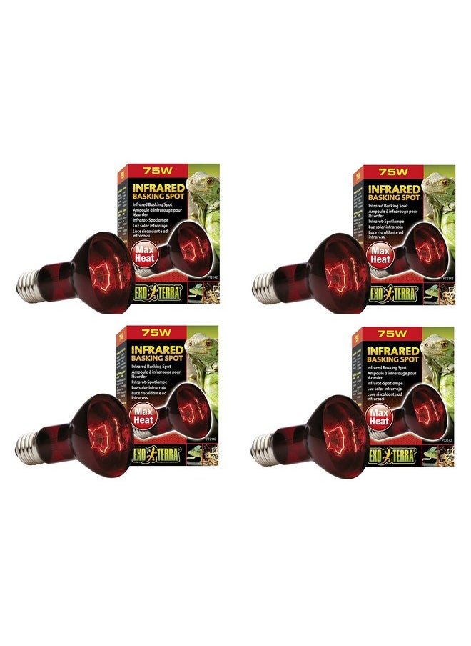 إكسو تيرا - مصباح الأشعة تحت الحمراء Exo Terra Heat-Glo، 75 واط/120 فولت (عبوة من 4 قطع) - Image 1