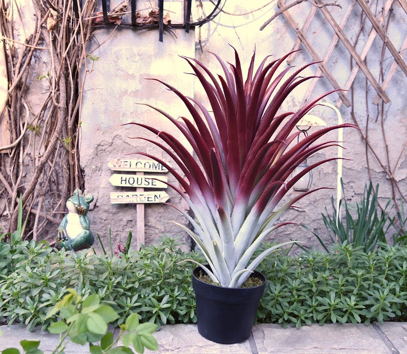 SUNPRAIRIE Hyper Realistic Big Red Artificial Aloe Vera Plant 26 Inches Tall. Large Faux Agave in Matte Black Pot. - Image 5