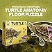 Genius Games Turtle Animal Anatomy Floor Puzzle  100Piece Double Sided Jigsaw Puzzle  LargeSized Over 4 Feet Scientifically Accurate Illustration  Fun and Educational Toy for Kids Toddlers and Families - Image 4