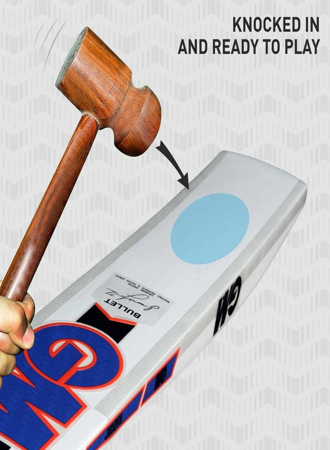 جنرال موتورز مضرب كريكيت جي إم رادون بوليت من خشب الصفصاف الإنجليزي، بمقبض قصير، مقاس رجالي - Image 4