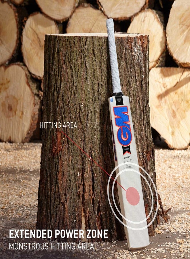 جنرال موتورز مضرب كريكيت جي إم رادون بوليت من خشب الصفصاف الإنجليزي، بمقبض قصير، مقاس رجالي - Image 2