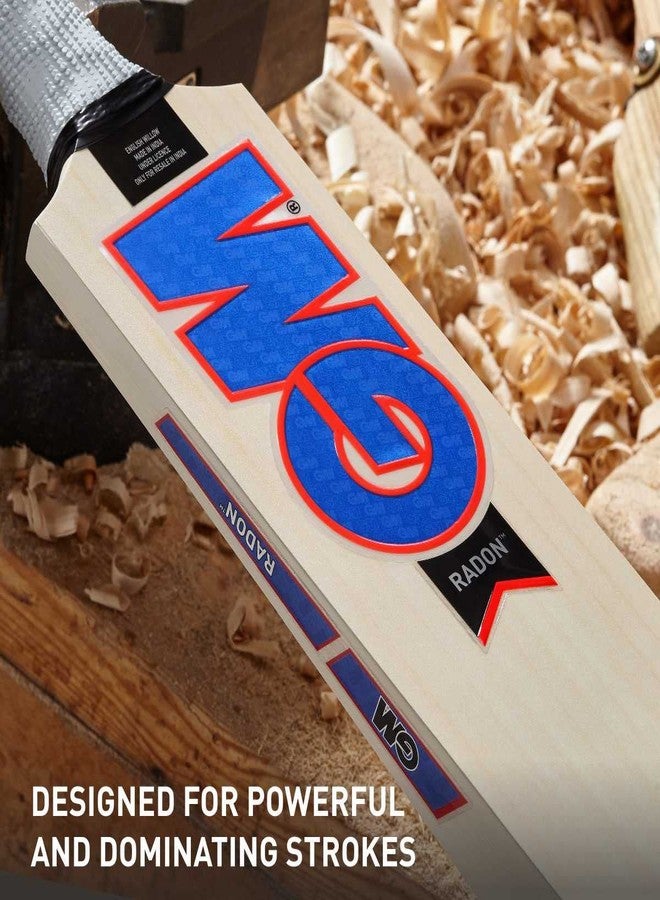 جنرال موتورز مضرب كريكيت جي إم رادون بوليت من خشب الصفصاف الإنجليزي، بمقبض قصير، مقاس رجالي - Image 3