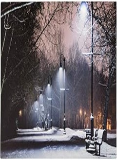 OR Canvas Street Park Light with LED Light - Multi Color 
