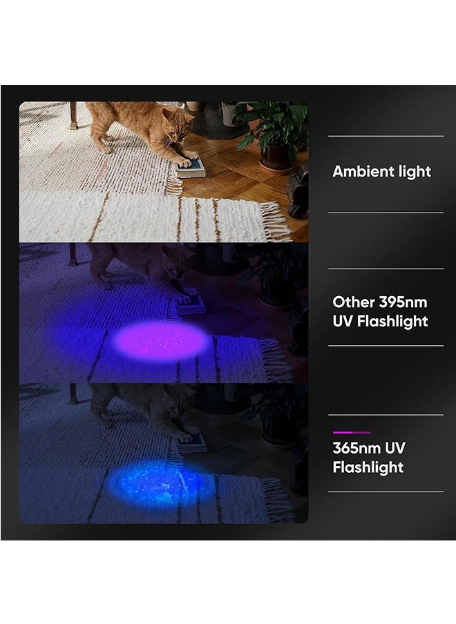 Generic - 20W 355nm UV Flashlight USB Rechargeable UV Light High Power Black Light Flashlight for Pet Urine Detection, Resin Curing, Minerals, Blood Tracking, Scorpion, Rockhounding,Yooperlites,A/C Leak Detect - Image 1