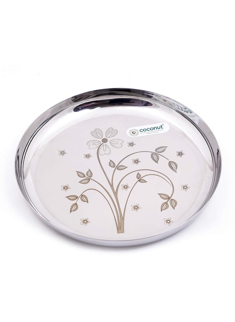 Coconut Coconut Stainless Steel Heavy Guage Laser Apple Plates Round Dinner Plates - 6 Pcs Set  - Image 1
