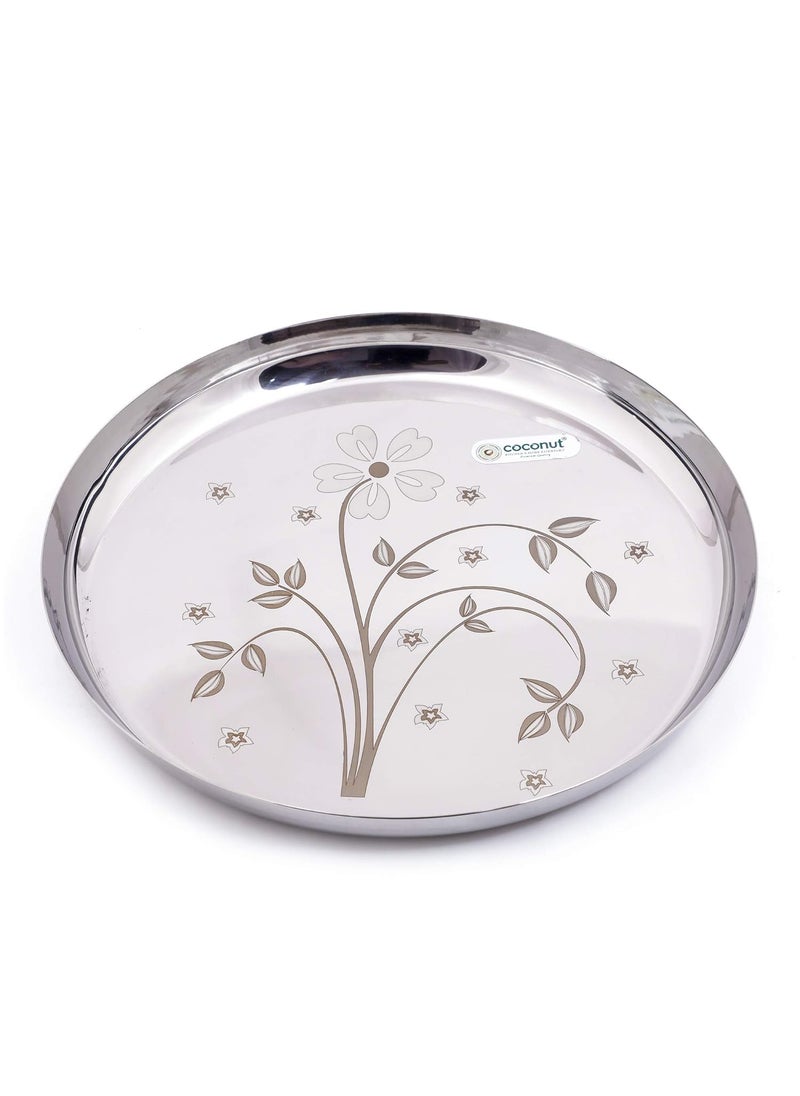 Coconut Coconut Stainless Steel Heavy Guage Laser Apple Plates Round Dinner Plates - 6 Pcs Set  - Image 2