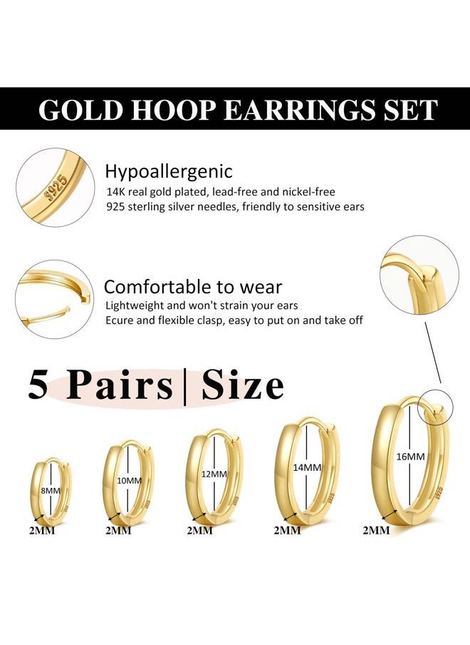 Senteria Small Gold Hoop Earrings 5 Pairs 14K Gold Plated Hoop Earrings for Women Hypoallergenic Gold Huggie Hoop Earrings Cartilage Sleeper Small Hoop Earrings for Women Men 8/10/12/14/16mm  - Image 2